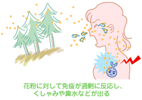 illust