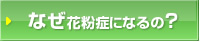なぜ花粉症になるの？
