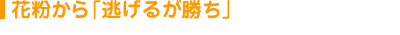 花粉から「逃げるが勝ち」